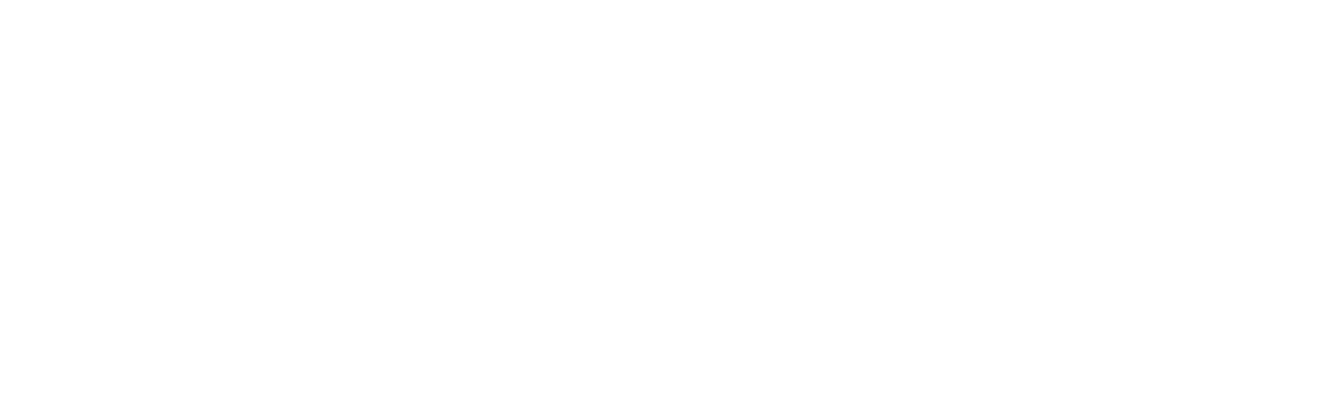 Paloalto-White-Logo-Resized